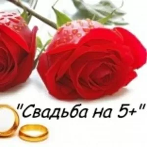свадьба,  музыка тамада, видео съёмка!