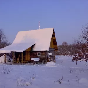 Белорусская баня на дровах