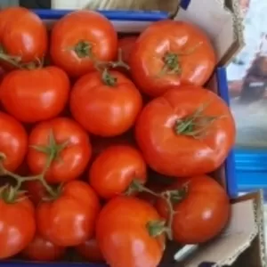 Продажа помидор 0, 40 евро черешня 1, 10 евро.