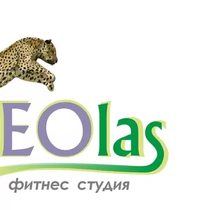 Студия танца и фитнеса LEOlas