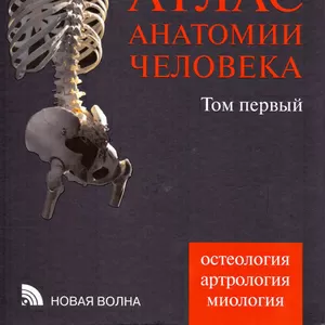 Атлас анатомии человека Синельников