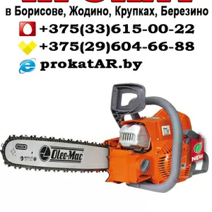 Аренда Прокат бензопилы в Борисове,  Жодино,  Крупках,  Березино,  Смолеви