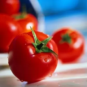 Предлагаем томатную пасту,  Китай,  36-38%