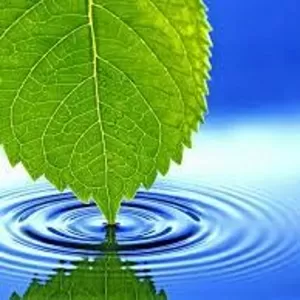 Бурение скважин на воду. Бобруйск и район.