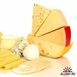 сыр молочную продукцию 
