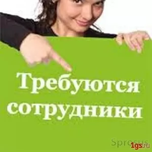  Ищу партнеров