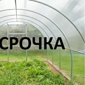 Теплицы в рассрочку
