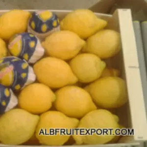 Импорт экспорт фруктов и овощей из Испании