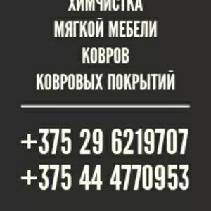 Химчистка мягкой мебели,  ковров,  ковровых покрытий на дому в Лиде