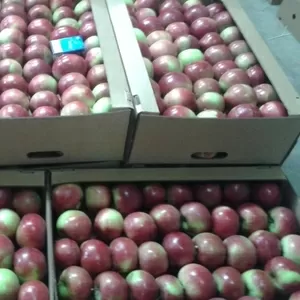 Яблоко от производителя 