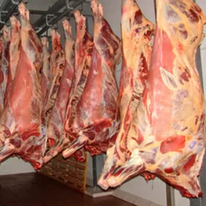 Мясо котлетное свиное,  говяжье (таз,  лопатка)