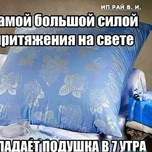Чистка подушек Сморгонь