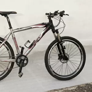 Bottecchia FX540 (Италия)