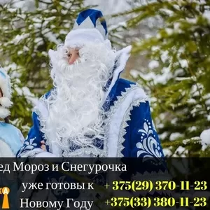 Дед Мороз и Снегурочка на дом (стандарт)