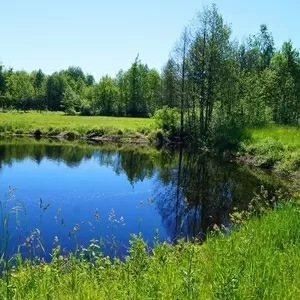 Дом в уединенном месте рядом с водоемом (100м)