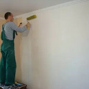Покраска стен и потолков (большие объемы)