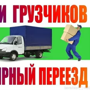 грузовые перевозки 163