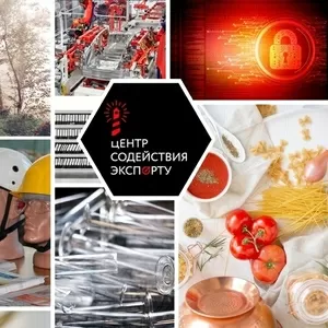 Система haccp: разработка,  внедрение,  сертификация. Полный комплекс ус