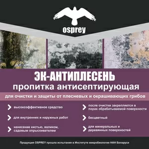 ЭК-АНТИПЛЕСЕНЬ против плесени на минеральных поверхностях 1 л