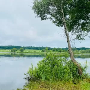 Срочно. Продам дом на берегу озера. Поставский район деревня Сурвилишк