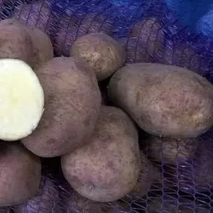 Картофель 0, 60 копеек/кг