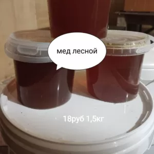 Продаю мед лесной,  луговой,  со своей пасеки