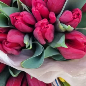 Тюльпаны розовые сорт Supermodel оптом Цена: 1, 26 руб.