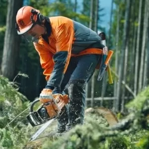 Для работы в лесу нужен человек без квалификации. Работа в Польше