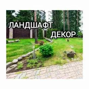 Благоустройство,  ландшафтные работы,  газоны и озеленение участка в Орш