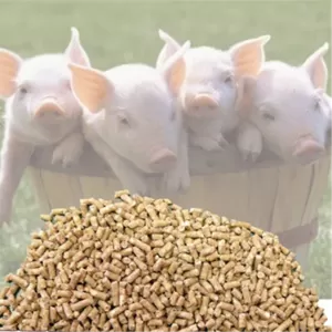 Комбикорм для свиней,  купить в Минске с Доставкой