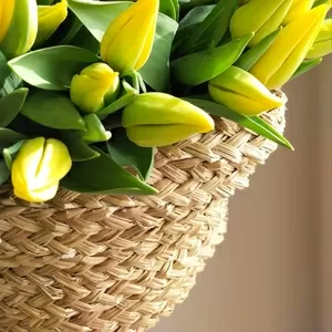 Тюльпаны  2026 от производителя опт