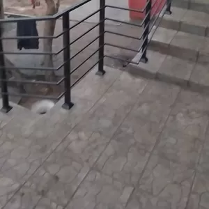 Ограждение из металла под ключ! в Могилеве