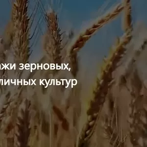 ООО Агропром - оптовая реализация продуктов питания в Минске