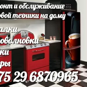 Ремонт бытовой техникой 