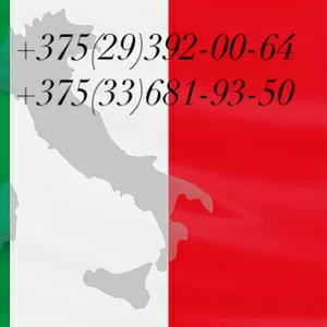 Переводчик итальянского языка Витебск