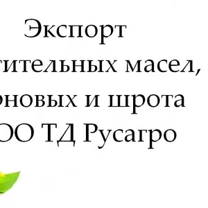 Экспорт растительных масел,  зерновых и шрота от ТД Русагро в Беларуси