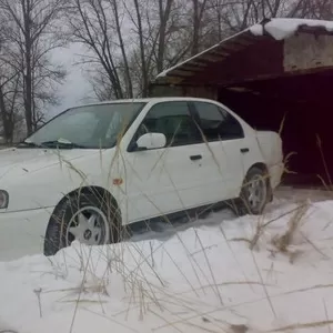 Nissan-Primera